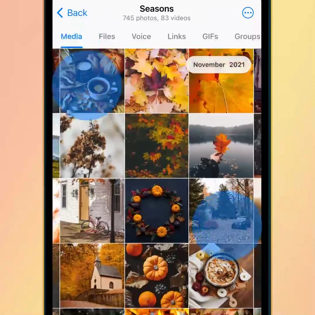 How to Master Shared Media & Calendar Navigation in Telegram: Time-Travel Date Bar, Media Filters & Zoom Grids