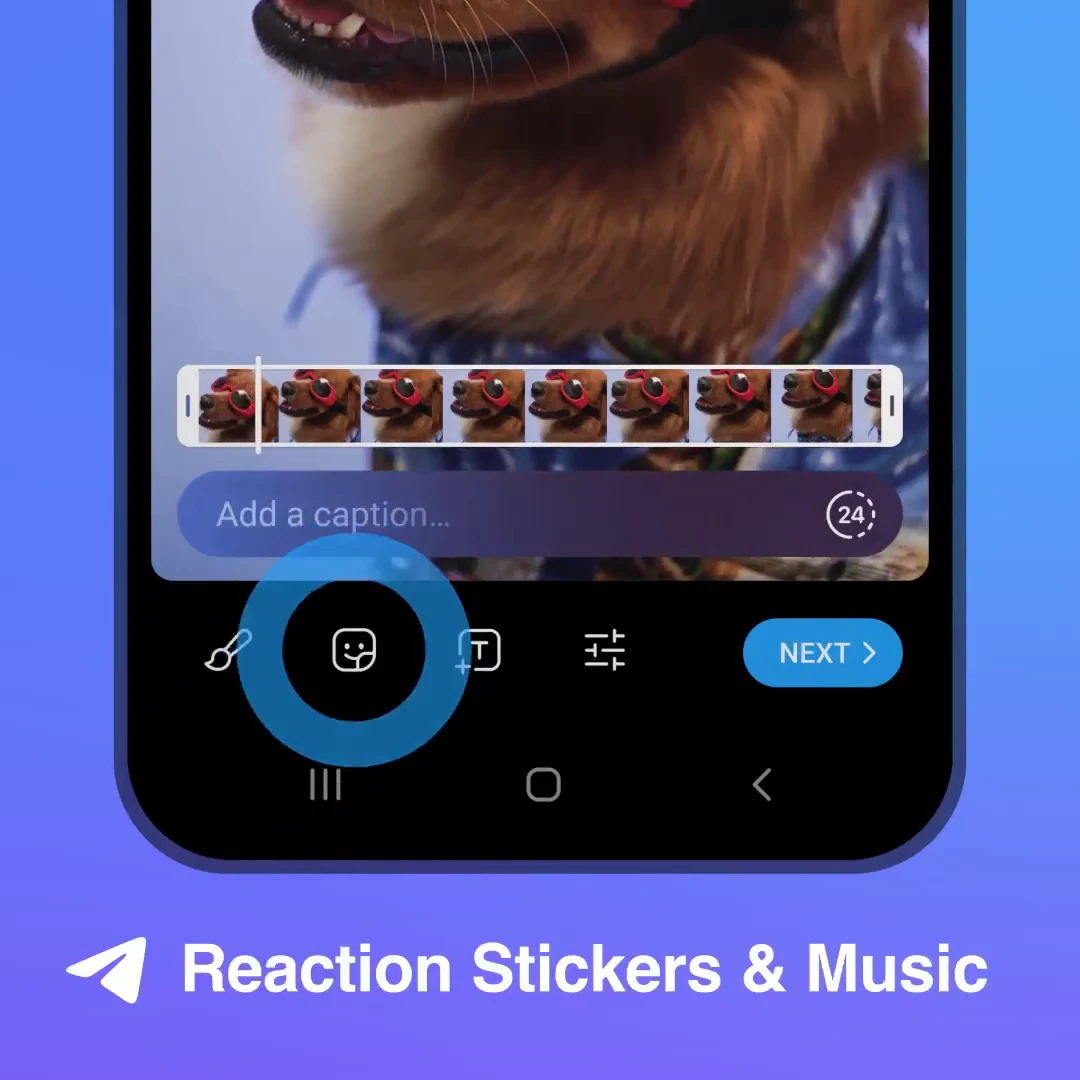 How to Use Reaction Stickers in Telegram Stories: Interactive Polls, Custom Emoji Triggers & Channel Vote Aggregation