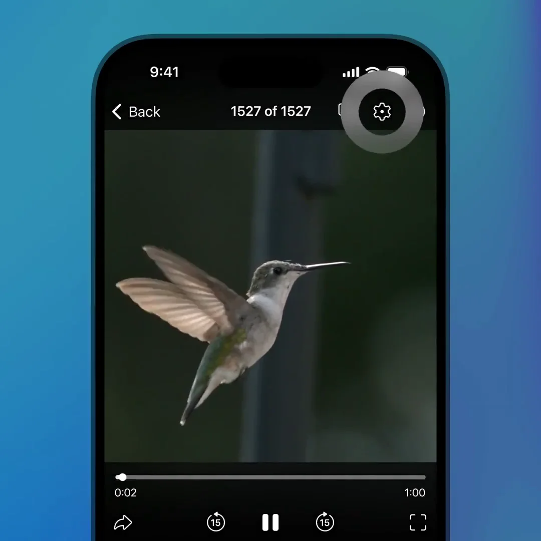 How Dynamic Video Quality Works in Telegram: Auto-Bandwidth Streaming, Multi-Bitrate Buffering & Manual Toggles