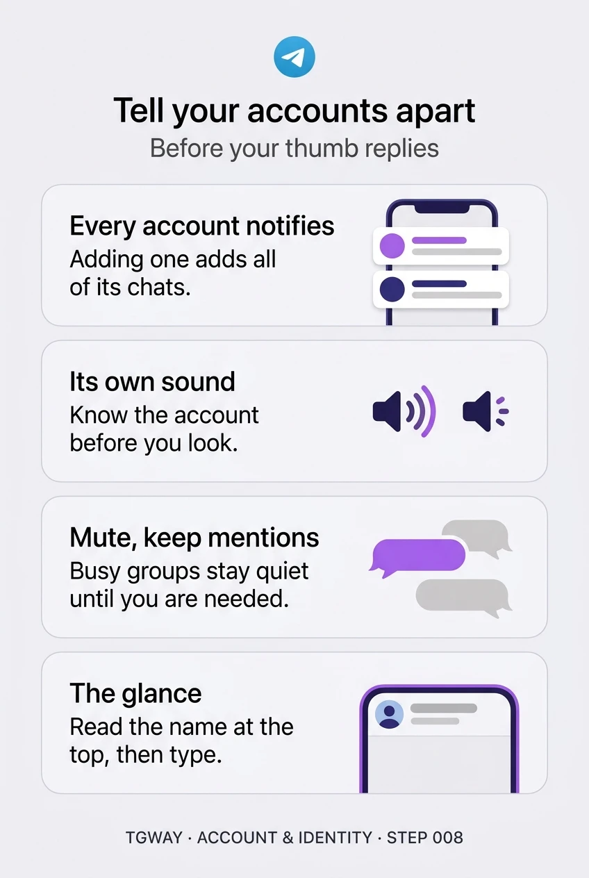 Infographic: every account notifies, so adding one adds all of its chats; give each account its own sound; mute busy groups but keep mentions; read the name at the top of the chat before you type