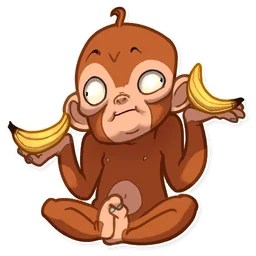 Mona Monkey