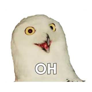 Altivo Owls