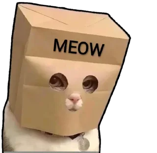Kucing
