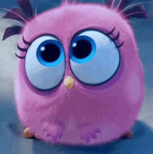 Baby Angry Birds