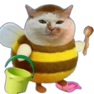 Bee Cat