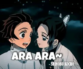 Demon Slayer Ara Ara