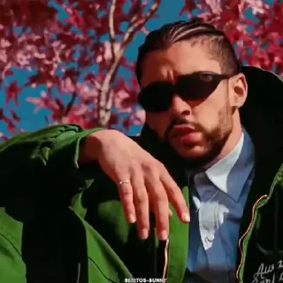 Bad Bunny Style