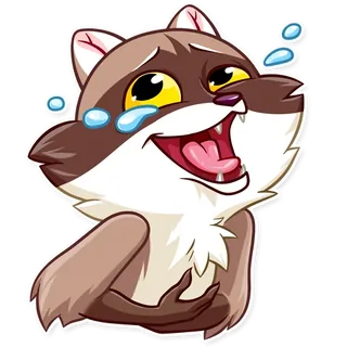 Bandit Raccoon