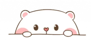 Meli Bear