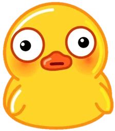 Duck Regular Edition