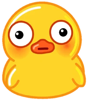 Duck Regular Edition