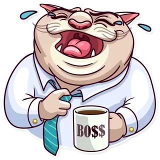 Big Boss Cat