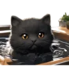 Black Cat Emoji Telegram Sticker #15 - Black Cat Emoji #15