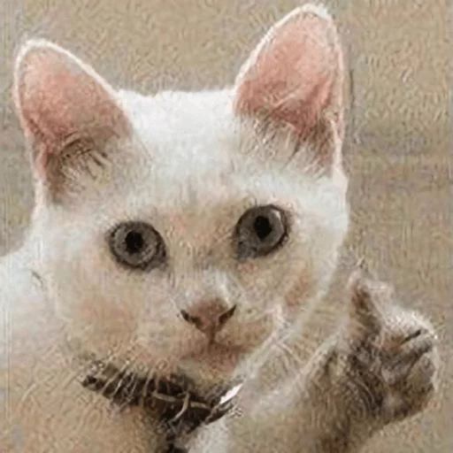 Broken Cats Telegram Sticker #3 - Broken Cats #3