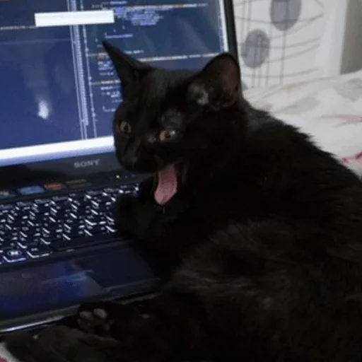 Broken Cats Telegram Sticker #6 - Broken Cats #6
