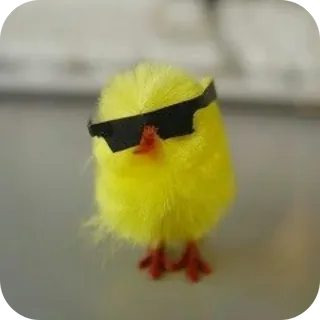 Sunglasses Chick