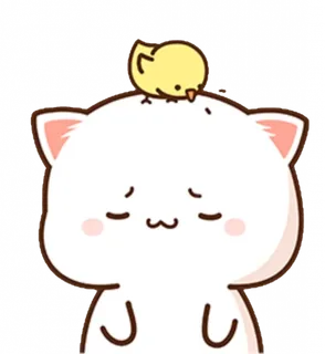 Cat with a Chick on Head
