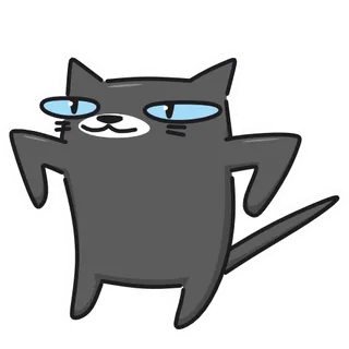 Smug Black Cat