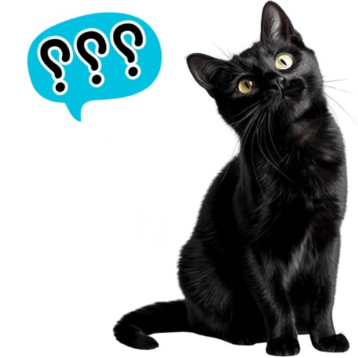 Cat Squad Telegram Sticker #5 - Cat Squad #5