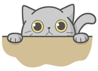 Cat Fullmoon