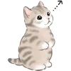 Cat Sticker Emoji Telegram Sticker #8 - Cat Sticker Emoji #8