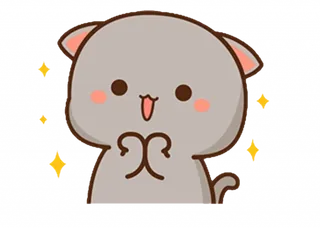 Happy Grey Cat