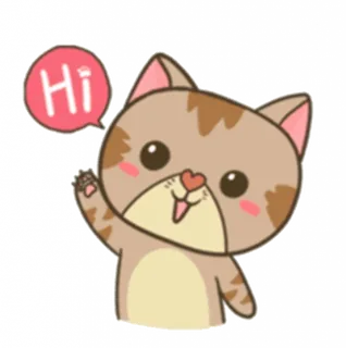 Hi Striped Cat