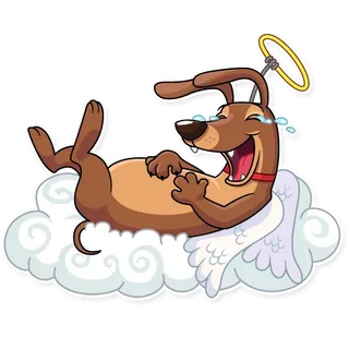 Cupid Dog