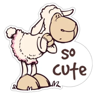 Cute Sheep
