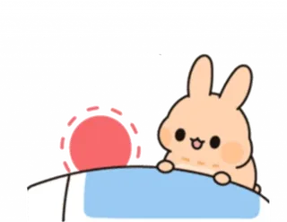 Little Bunny Meli