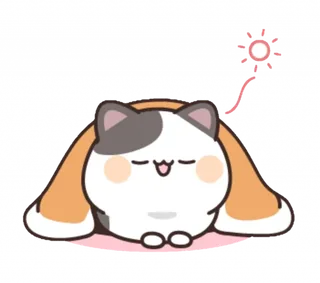 Meli Cat