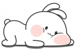 White Rabbit Meli