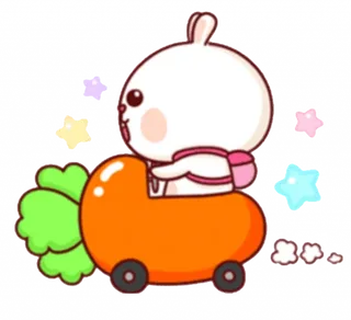Meli Rabbit
