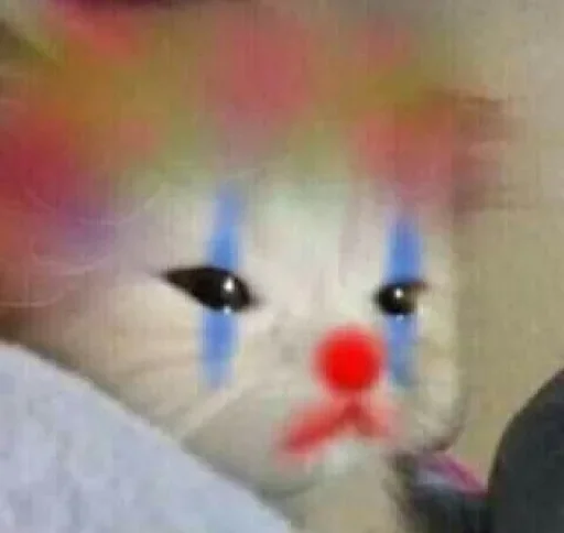 Sad Clown Cat