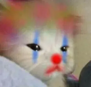 Sad Clown Cat