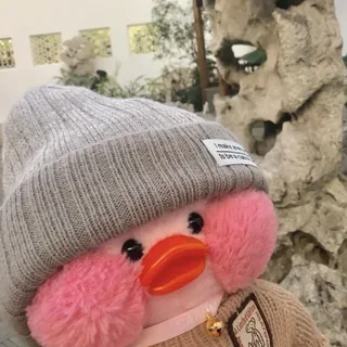Fashionable Duck Doll
