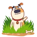 Eddo the Dog