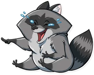 Elisey Raccoon