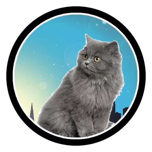 Funny Cats Telegram Sticker #23 - Funny Cats #23