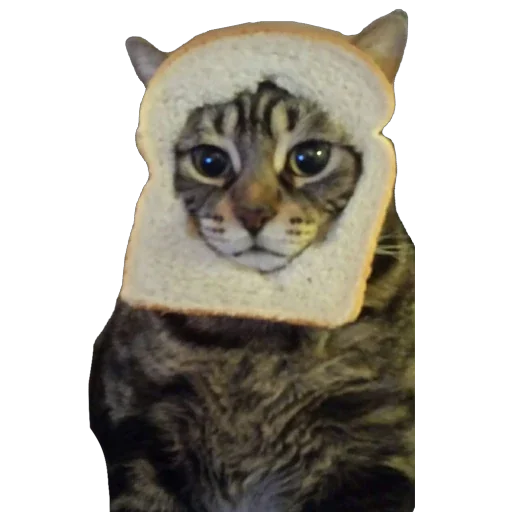 BreadCats Telegram Sticker #3 - BreadCats #3