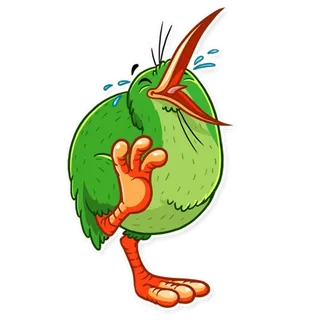 Playful Kiwi Bird