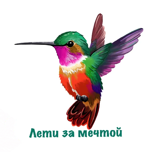 Colorful Hummingbird