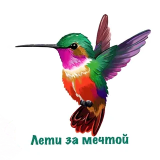 Colorful Hummingbird