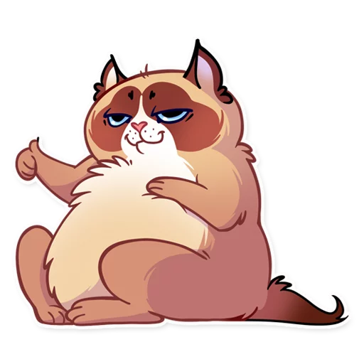 Kooky Cat