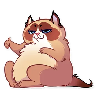 Kooky Cat