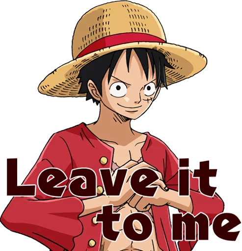 One Piece Straw Hat Crew