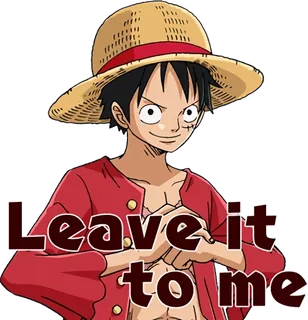 One Piece Straw Hat Crew