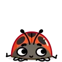 Ladyboo