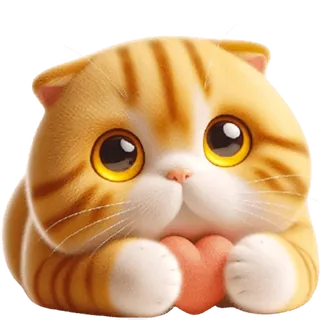 Scottish Ginger Cat