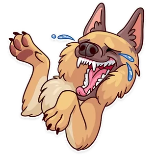 Doggie Memes